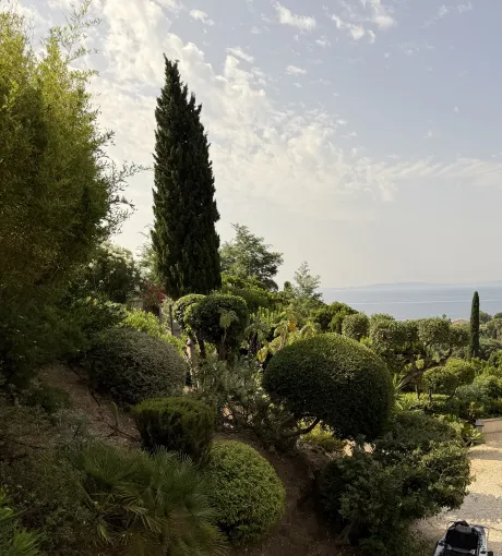 Réalisation de tailles en boules sur arbustes au Rayol-Canadel, Le Lavandou, Bianchi Paysages