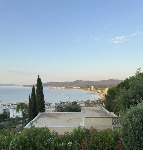 Élagage d'eucalyptus pour une vue dégagée sur la baie du Lavandou, Le Lavandou, Bianchi Paysages