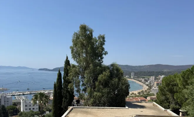 Élagage d'eucalyptus pour une vue dégagée sur la baie du Lavandou, Le Lavandou, Bianchi Paysages