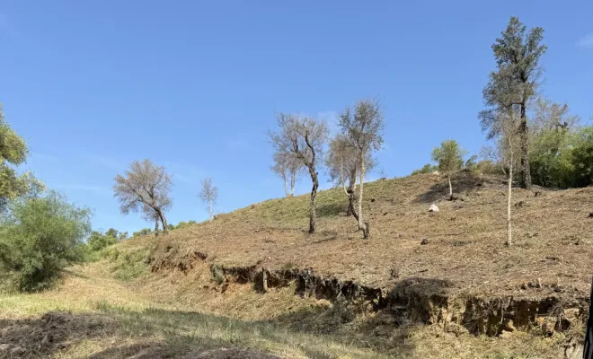 Débroussaillage à Bormes et Mimosas pour la prévention des feux de forêt, Le Lavandou, Bianchi Paysages